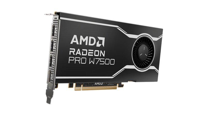 AMD Radeon PRO W7500 100-300000078