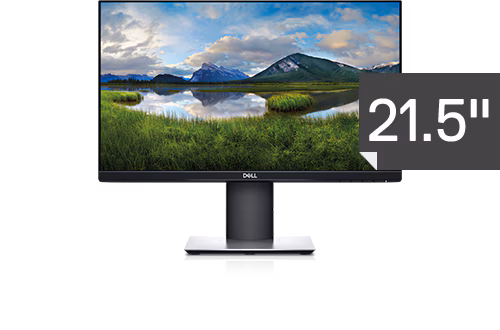 Dell P2219HE