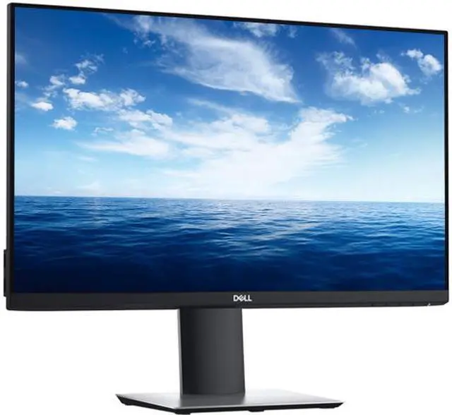Dell P2419H