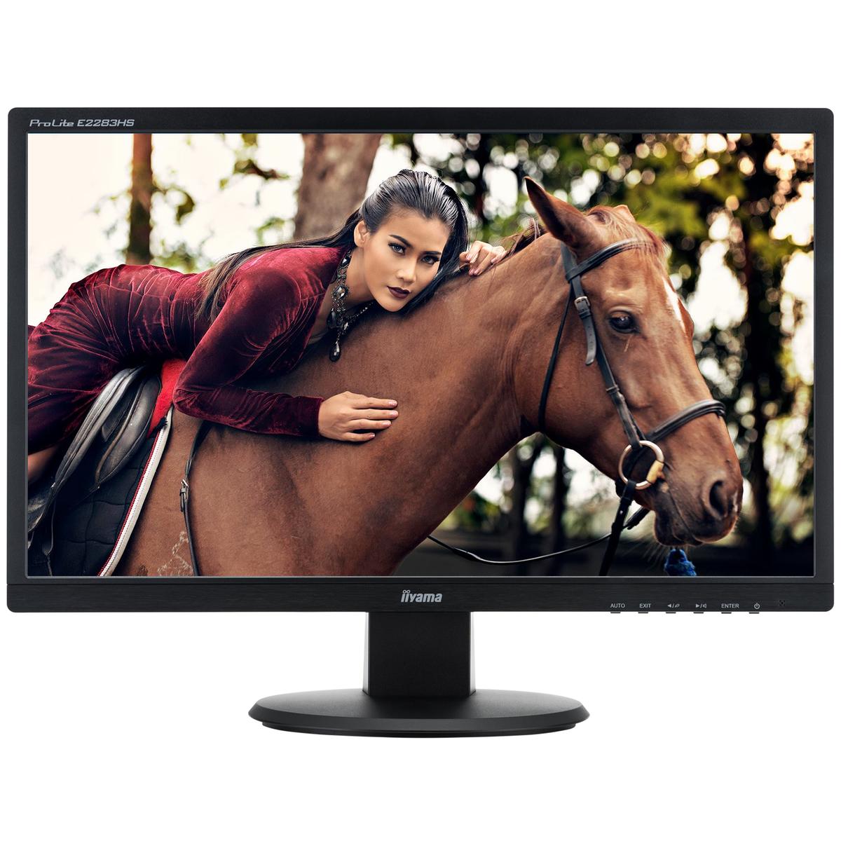 Iiyama Prolite E2283HS-B1