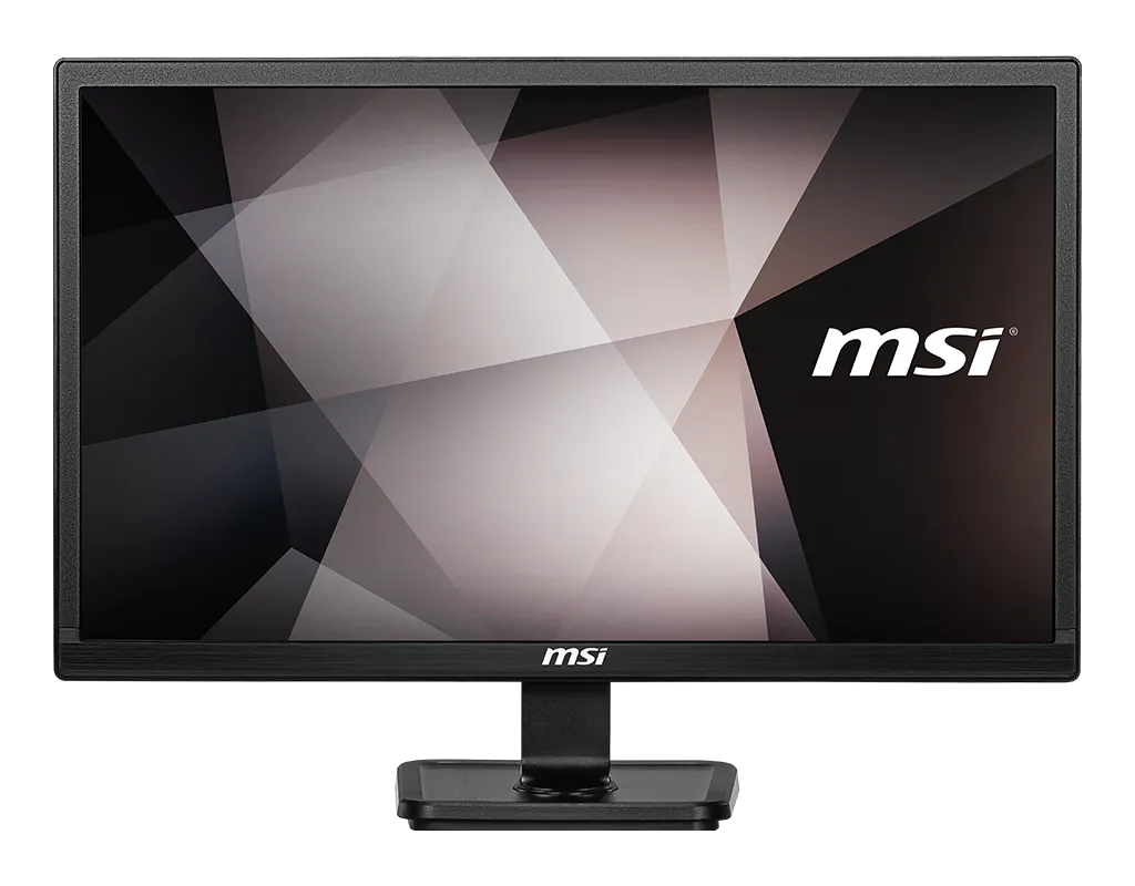 MSI PRO MP221