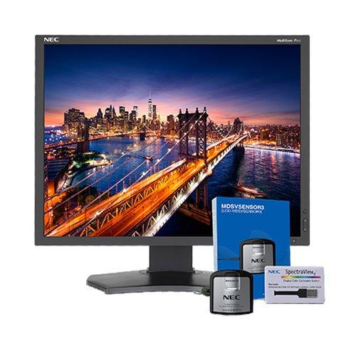 NEC P212-BK-SV