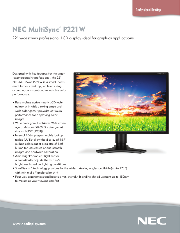 NEC P221W-BK