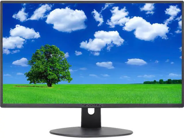 Sceptre E205W-16003R