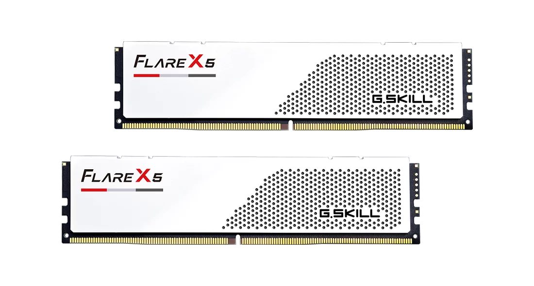 G.Skill Flare X5 96 GB