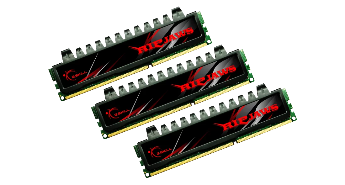 G.Skill Ripjaws 12 GB