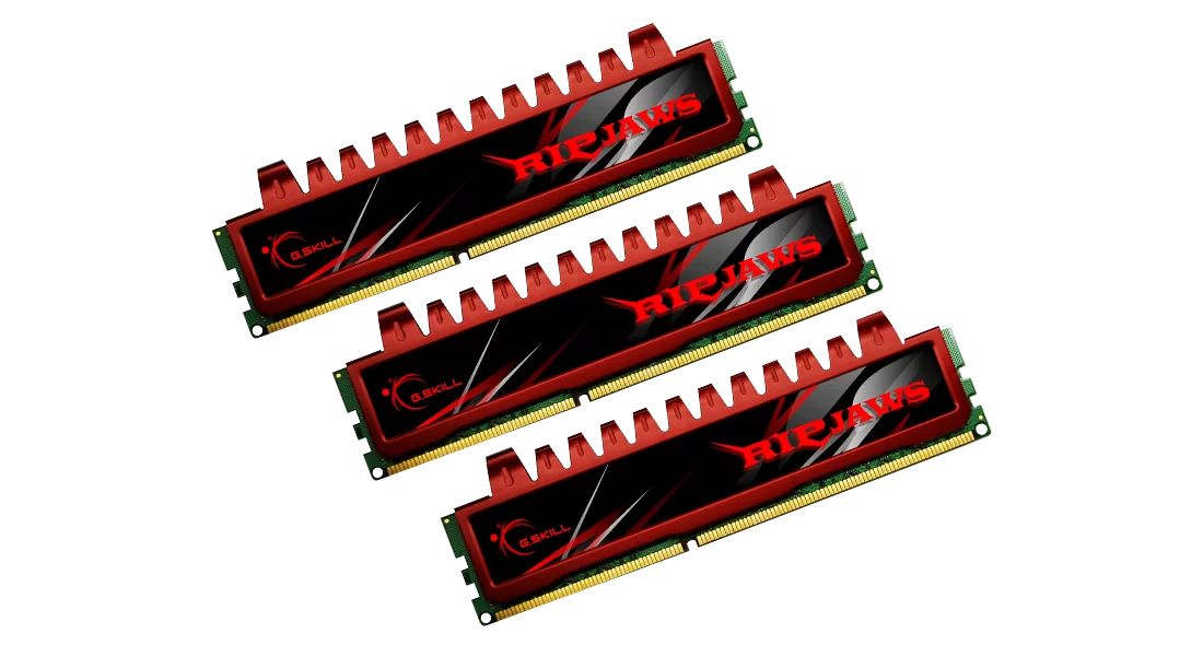G.Skill Ripjaws 12 GB