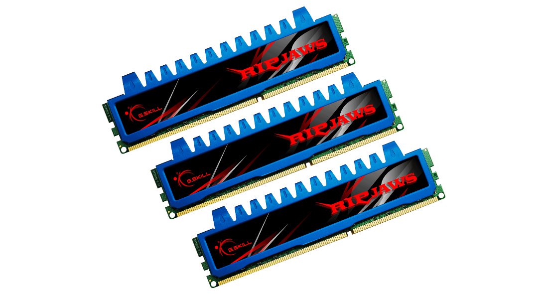 G.Skill Ripjaws 12 GB