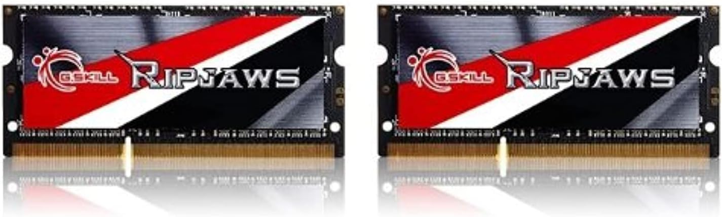 G.Skill Ripjaws 16 GB 2x8GB DDR3-1600