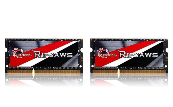 G.Skill Ripjaws 8 GB