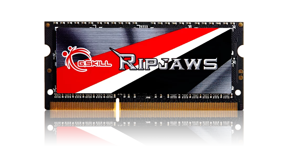 G.Skill Ripjaws 8 GB