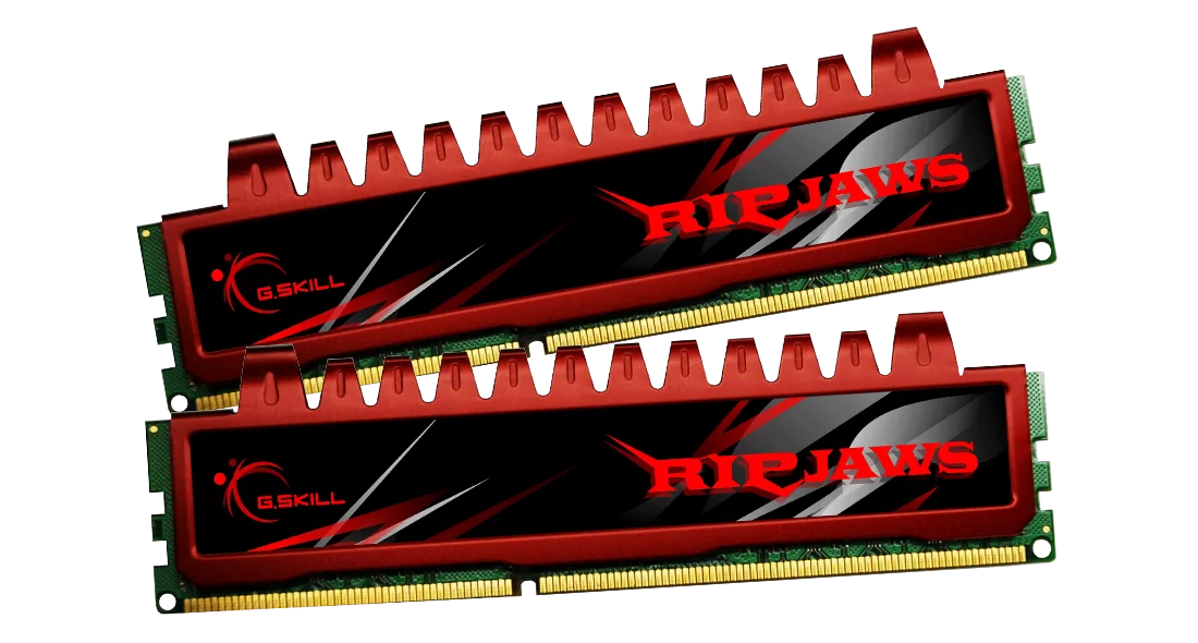 G.Skill Ripjaws 8 GB