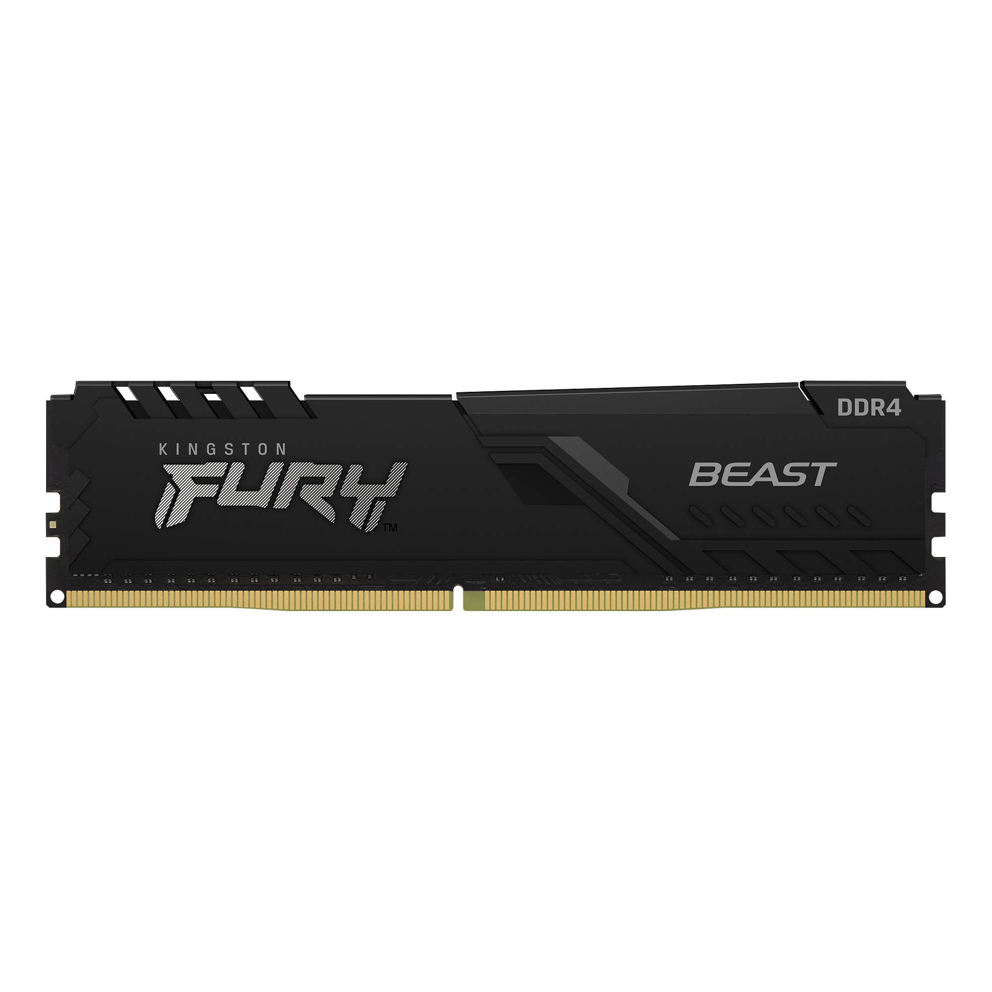 Kingston FURY Beast 16 GB