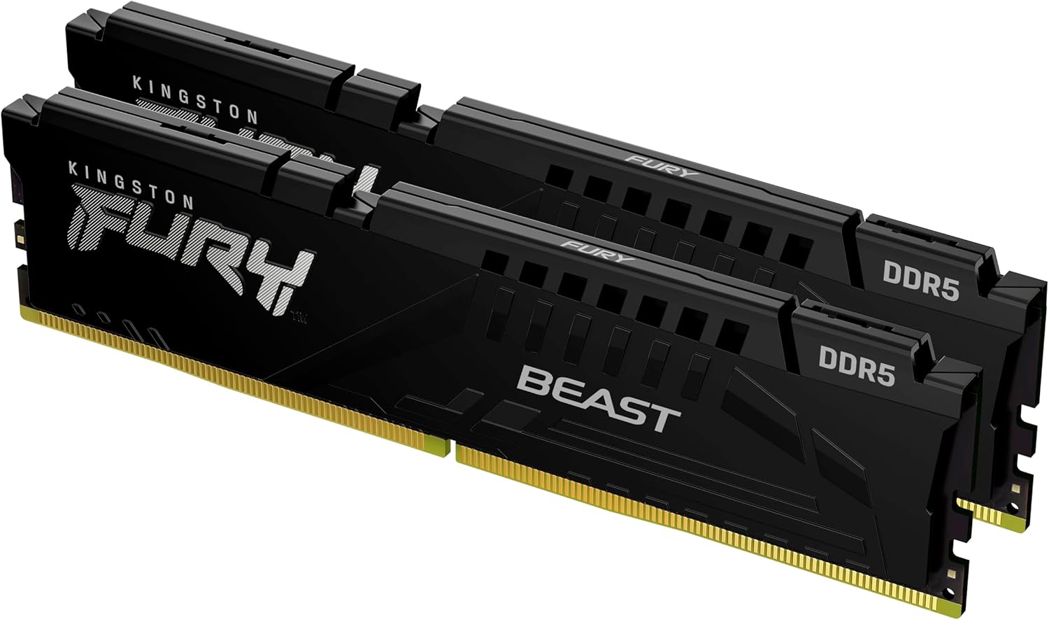 Kingston FURY Beast 64 GB