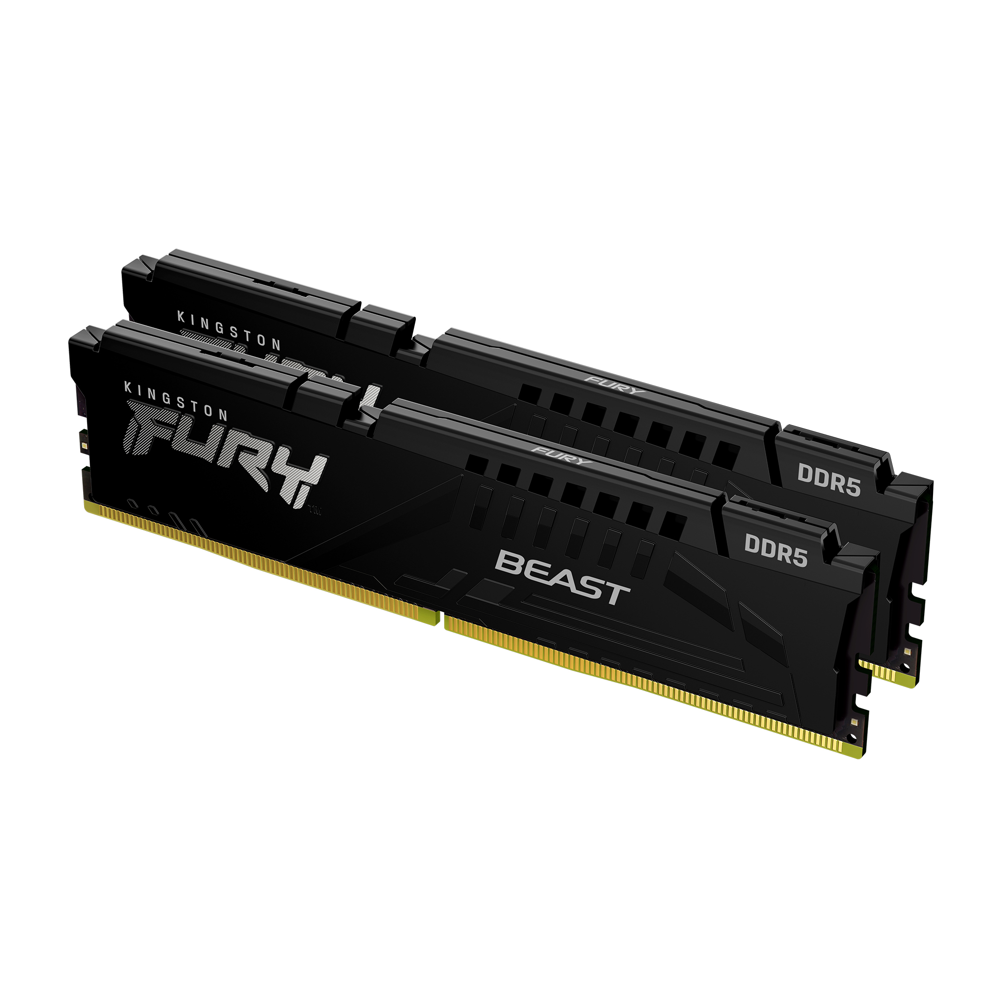 Kingston FURY Beast 64 GB