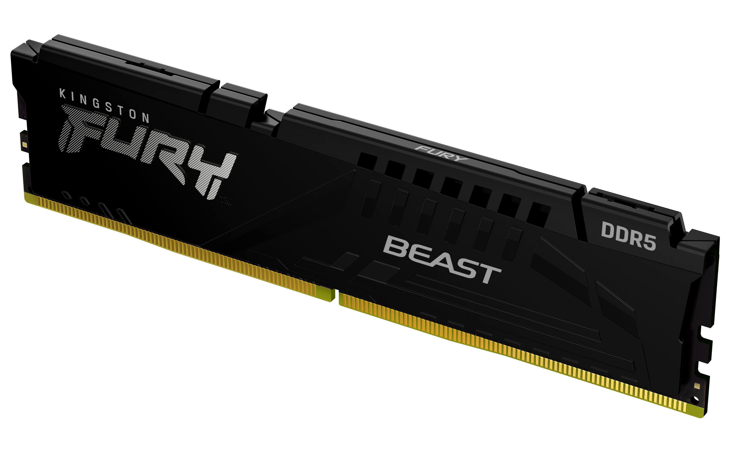 Kingston FURY Beast 8 GB