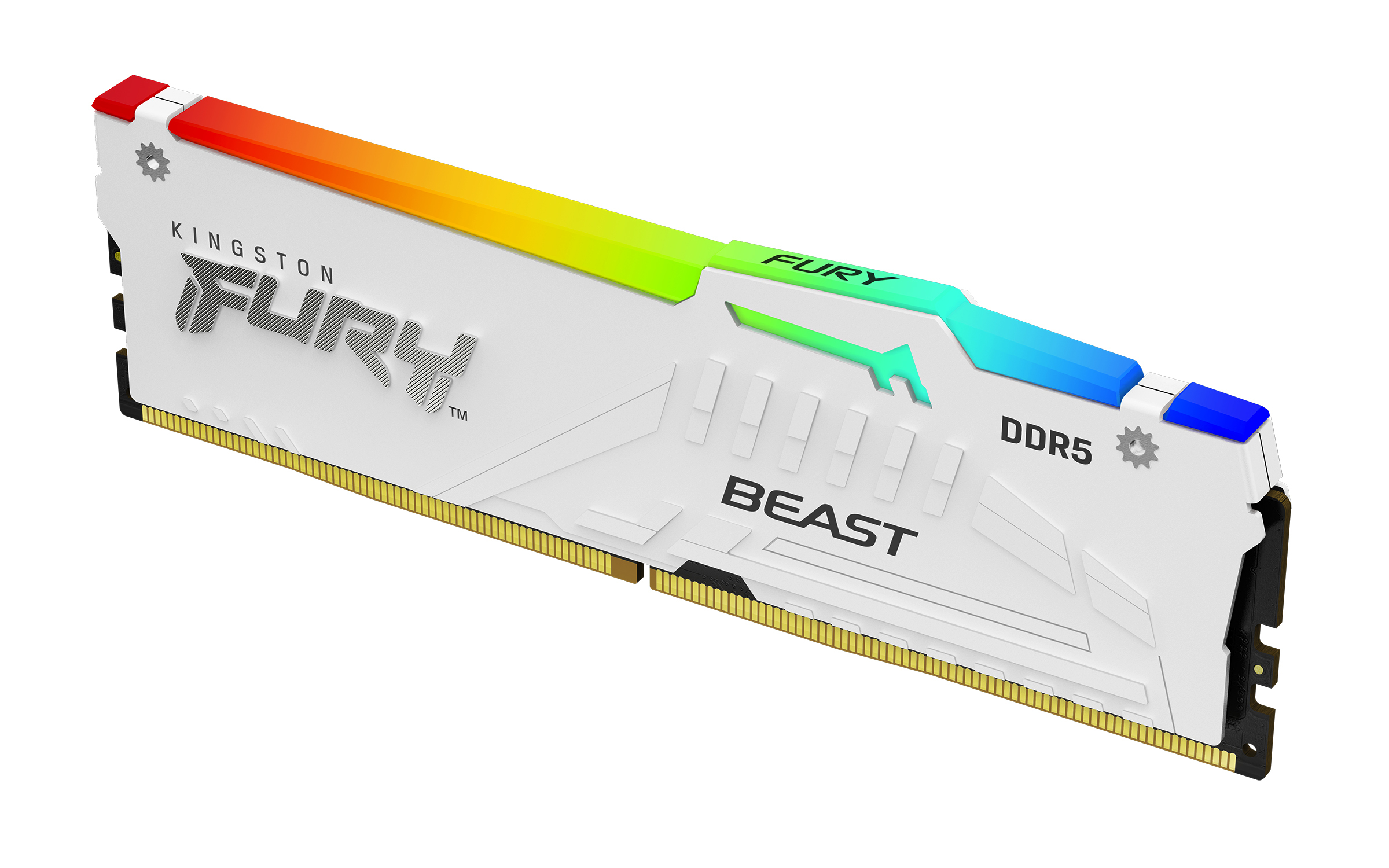 Kingston FURY Beast RGB 32 GB