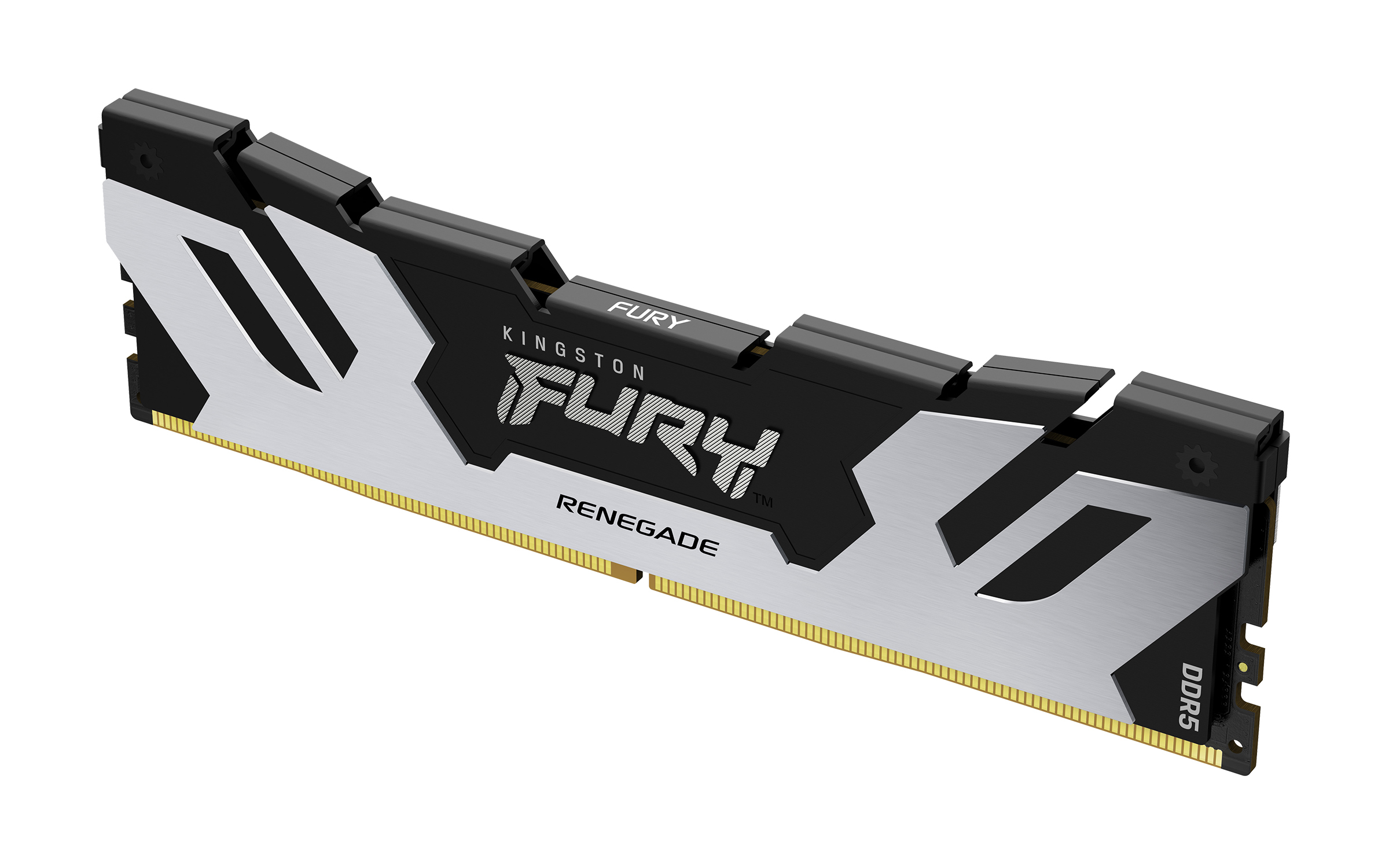 Kingston FURY Renegade 16 GB