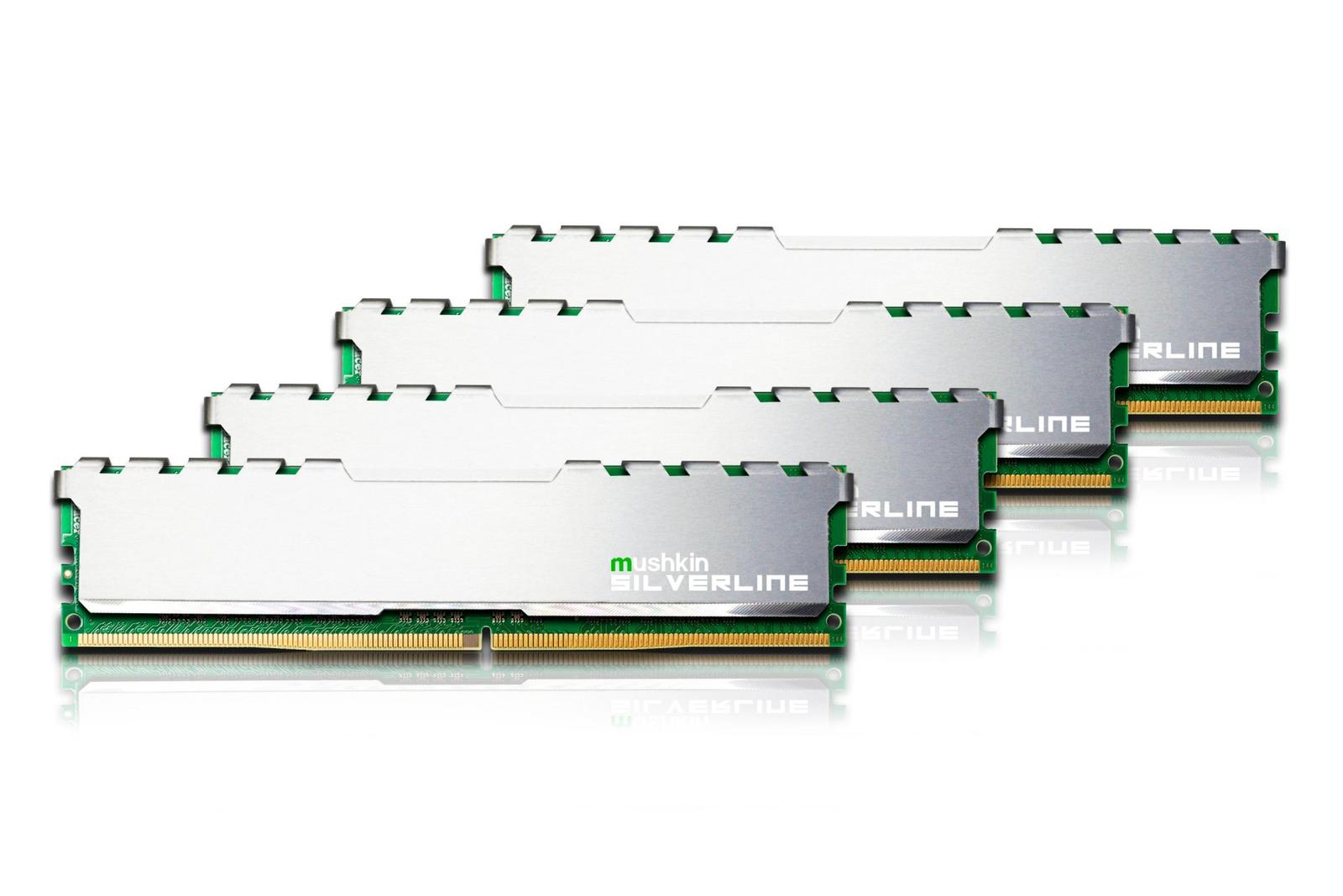 Mushkin Silverline 64 GB