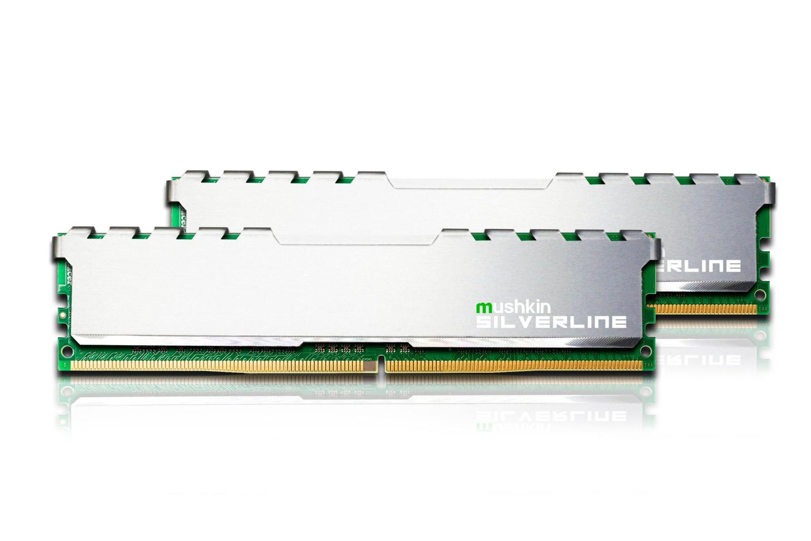 Mushkin Silverline 8 GB