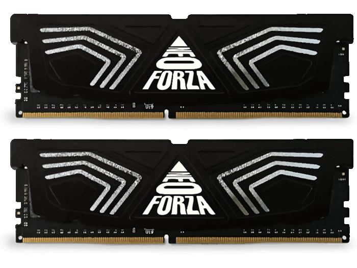 Neo Forza FAYE 64 GB