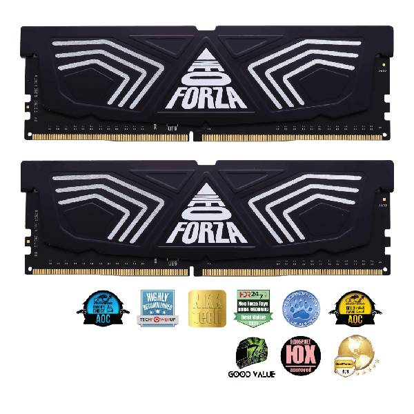 Neo Forza FAYE 64 GB