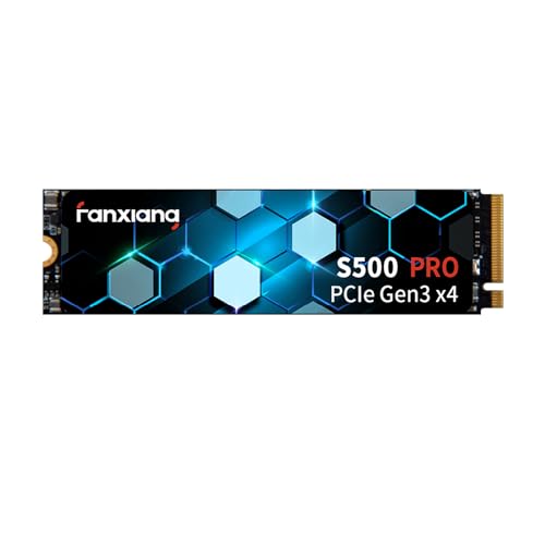 Fanxiang S500 Pro 1000GB