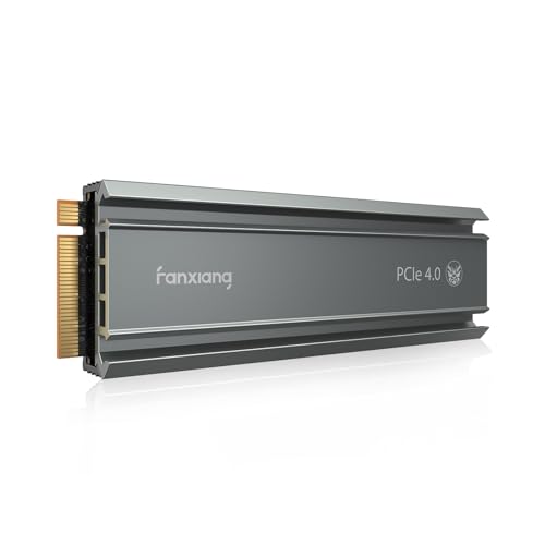 Fanxiang S660 2000GB