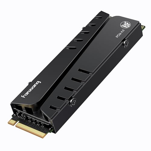Fanxiang S770 1000GB