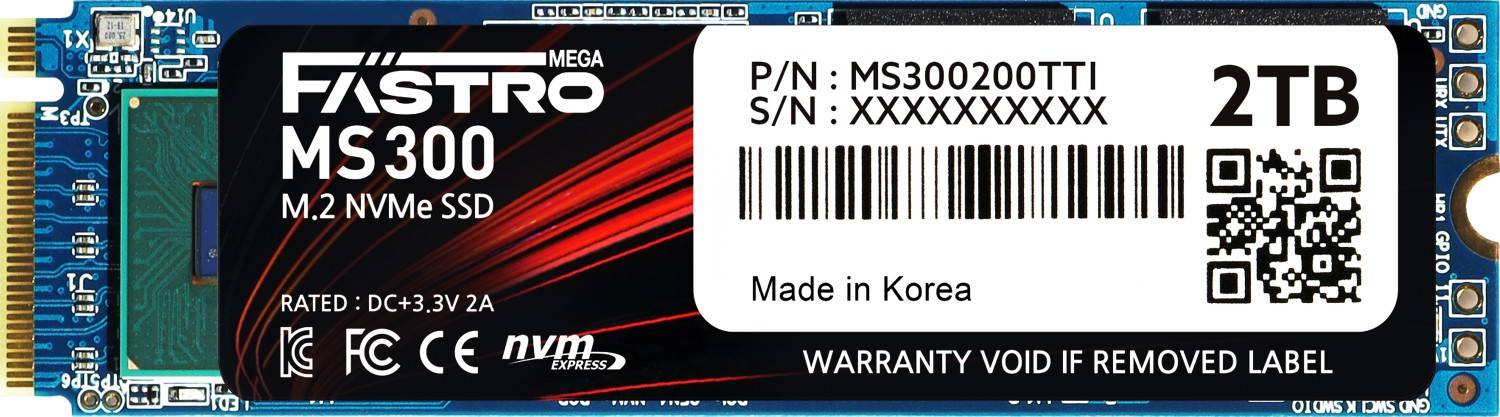 Fastro MS300