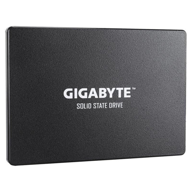 Gigabyte GP-GSTFS31100TNTD
