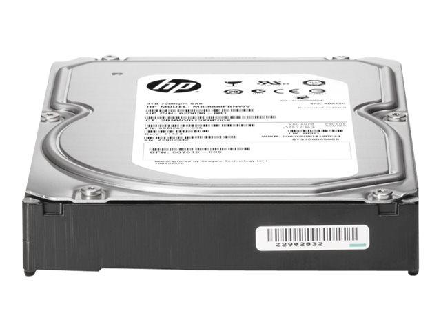 HP 628065-B21 3000GB