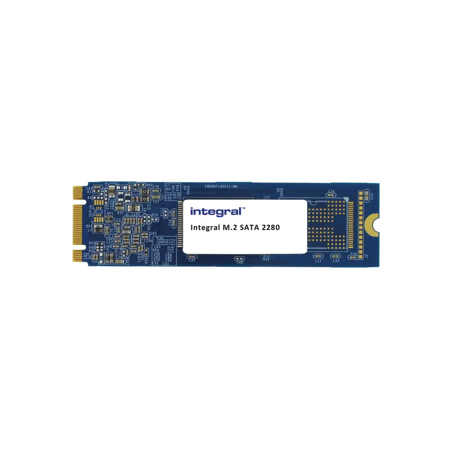 Integral 2020 256GB