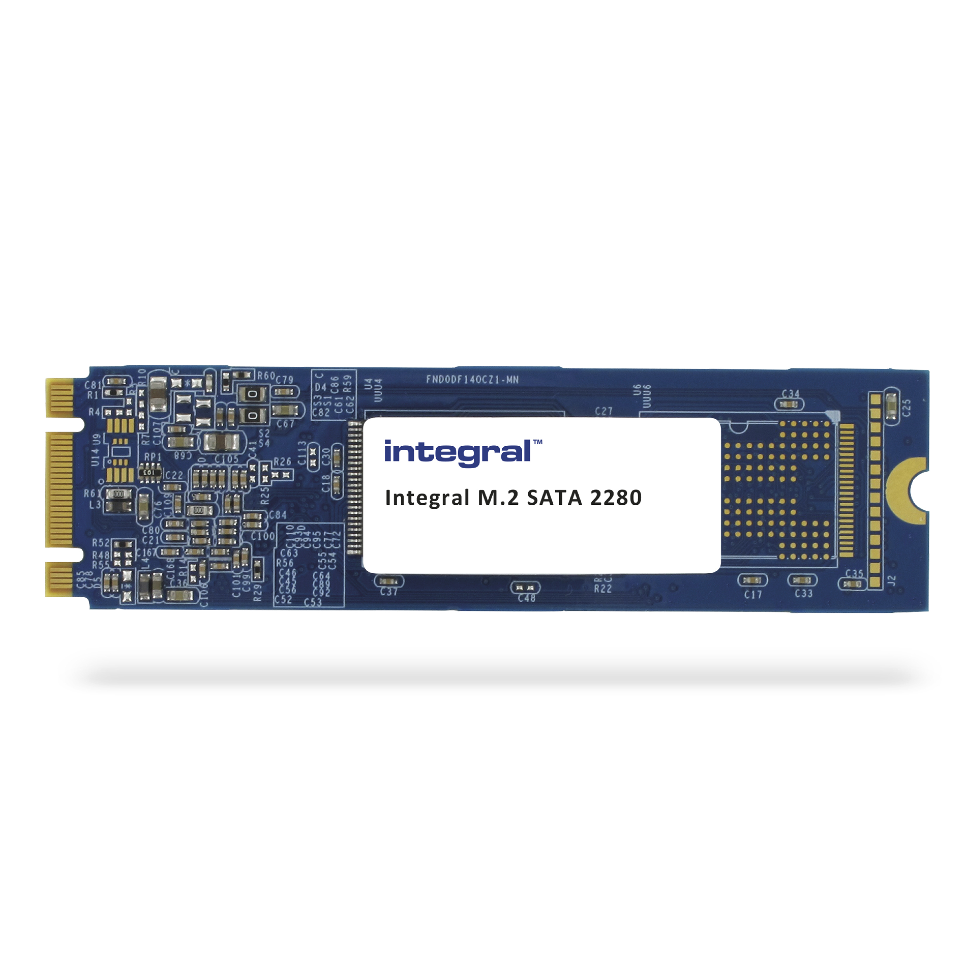 Integral 2020