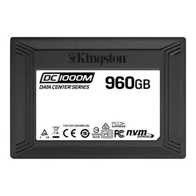 Kingston DC1000M