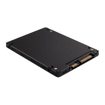 Micron 1100