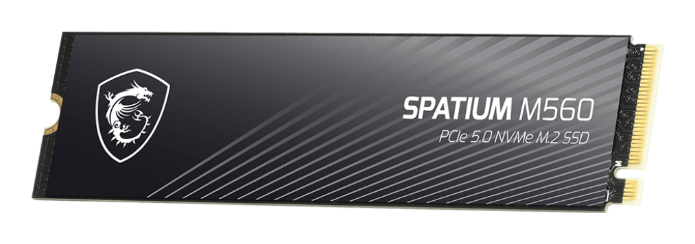 MSI SPATIUM M560