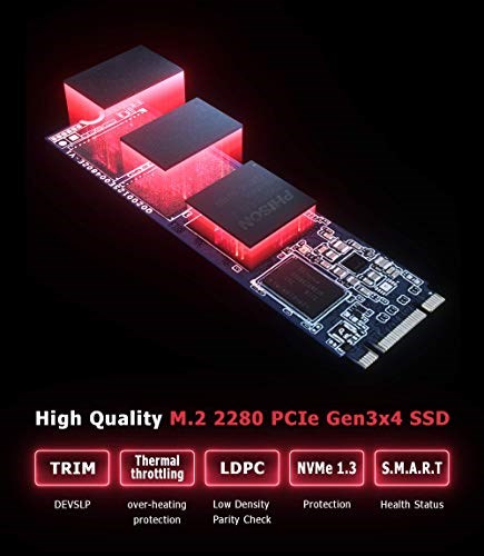 Pioneer APS-SE20G-1T