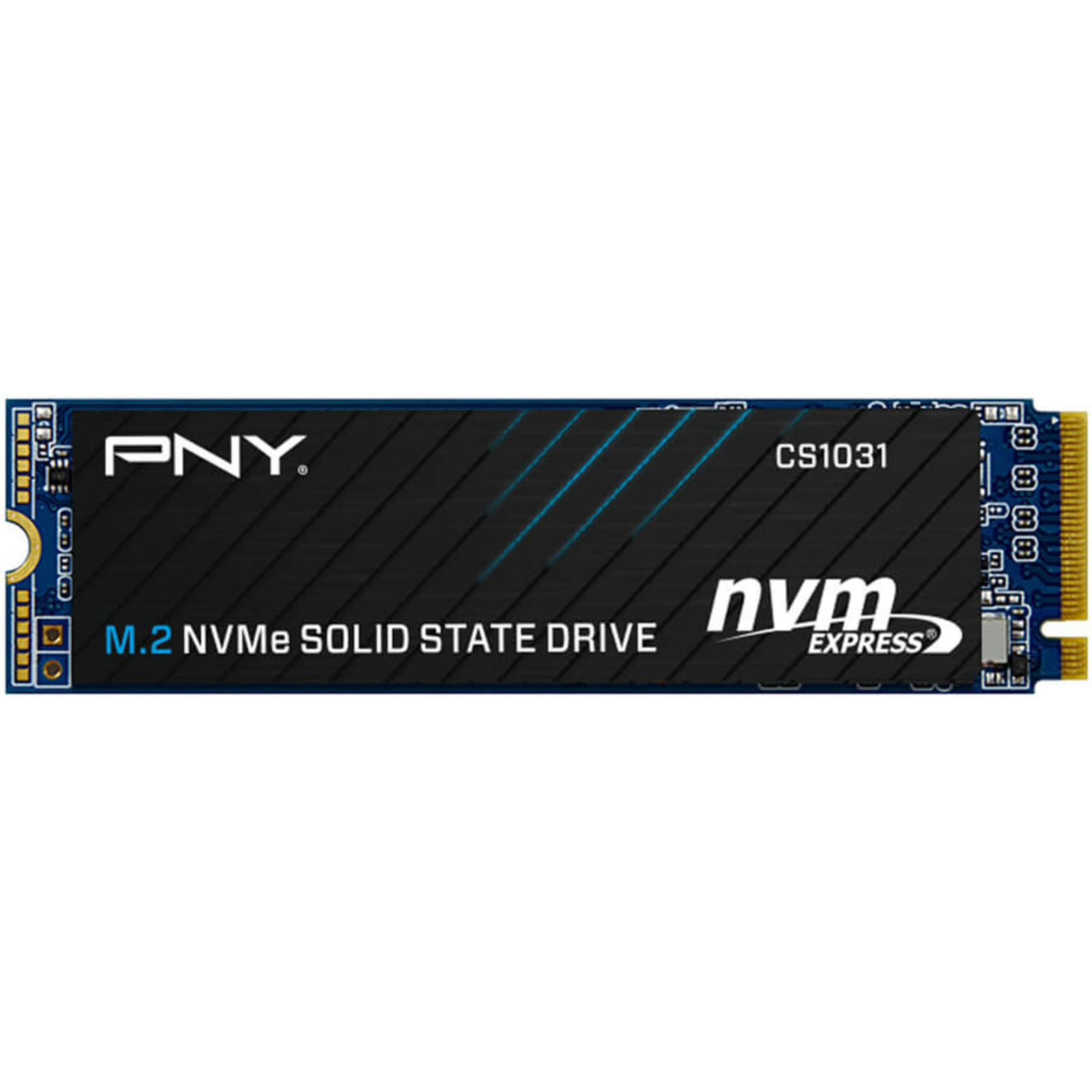 PNY CS1031