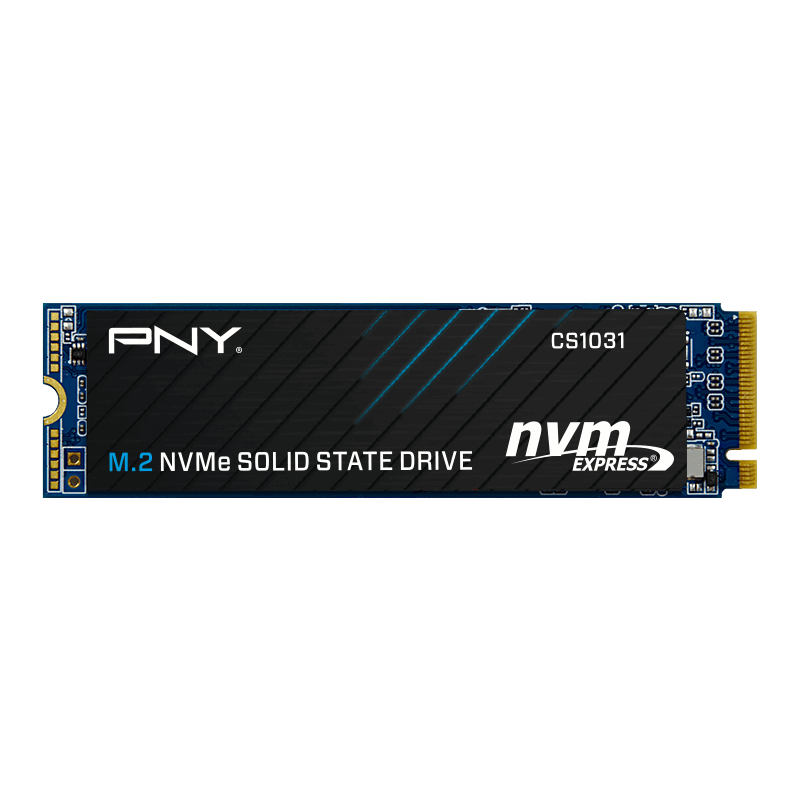 PNY CS1031
