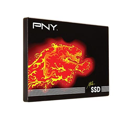 PNY SSD7CS2111-960-RB