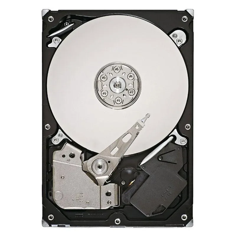 SanDisk X110 SD6SF1M-256G-1022I