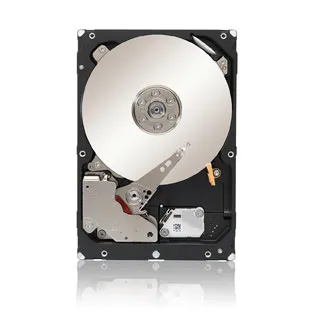 Seagate Constellation Product Series:ES.3