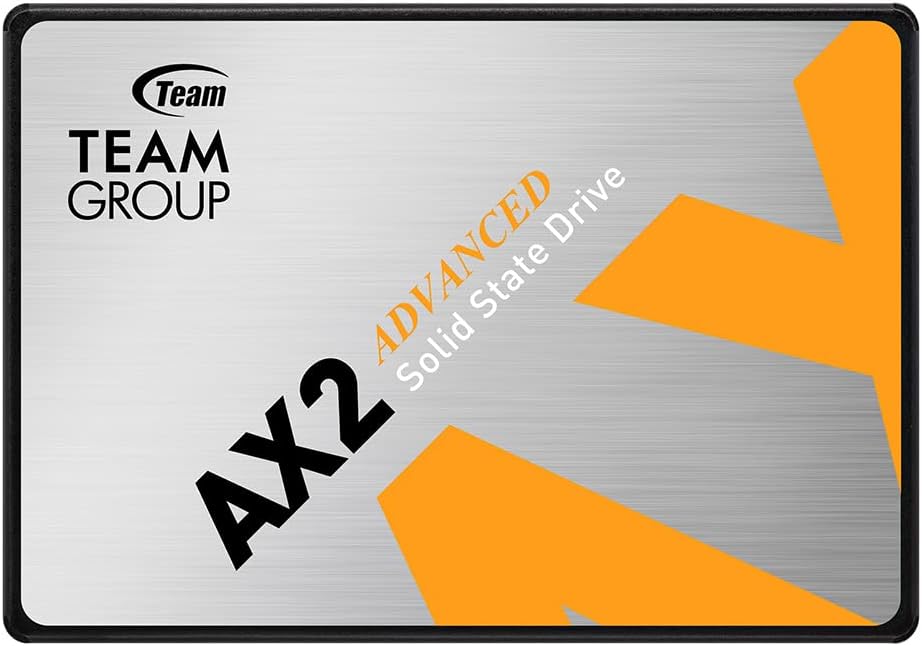 TeamGroup AX2 1000GB