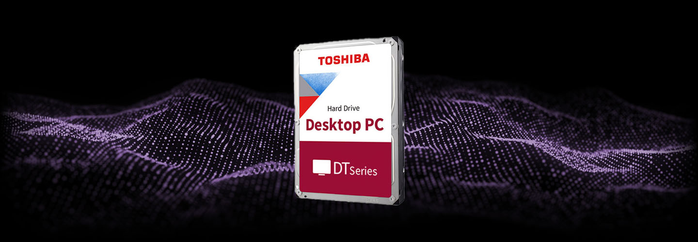 Toshiba DT02