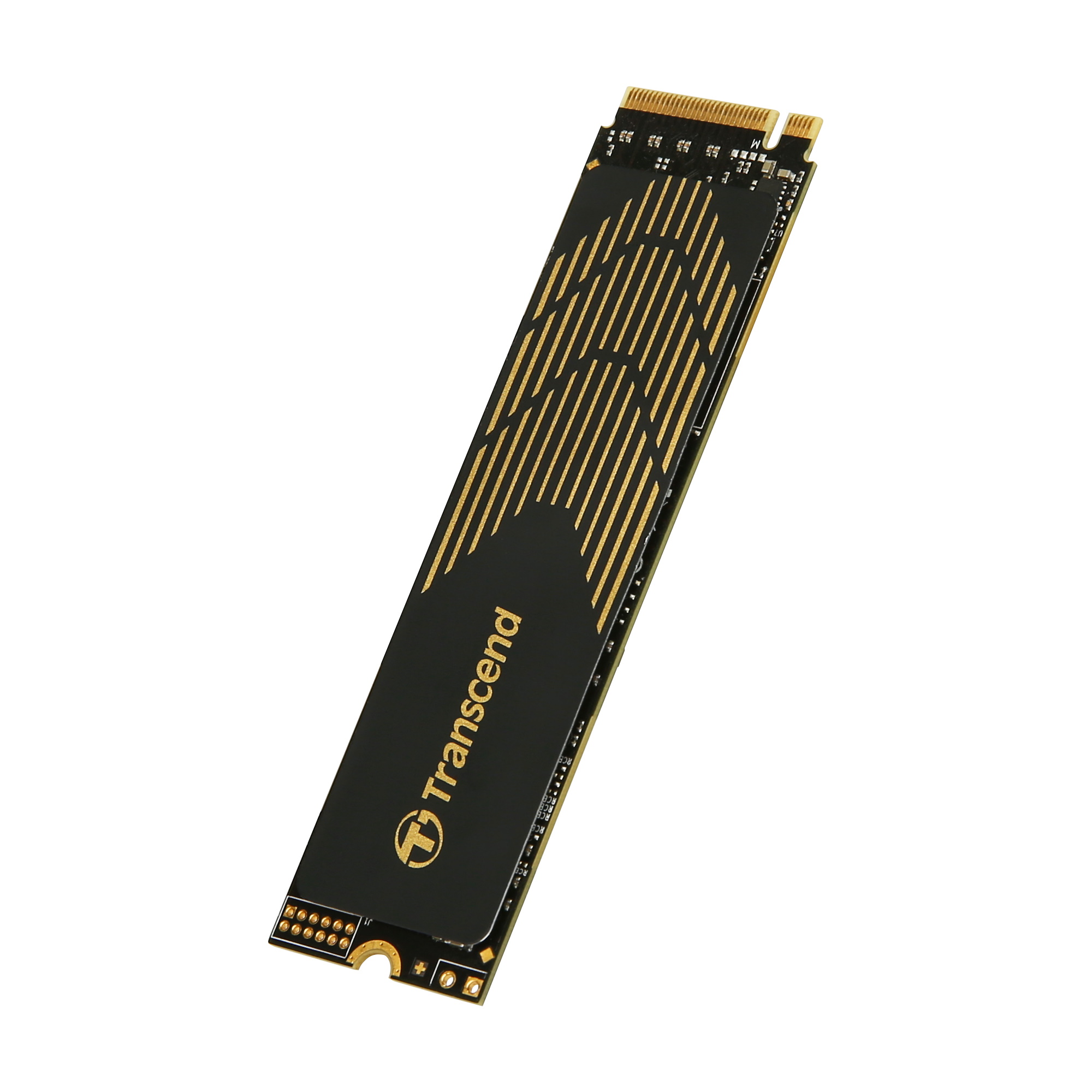 Transcend MTE240S 1000GB