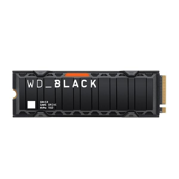 Western Digital WDS100T1XHE w/Heatsink